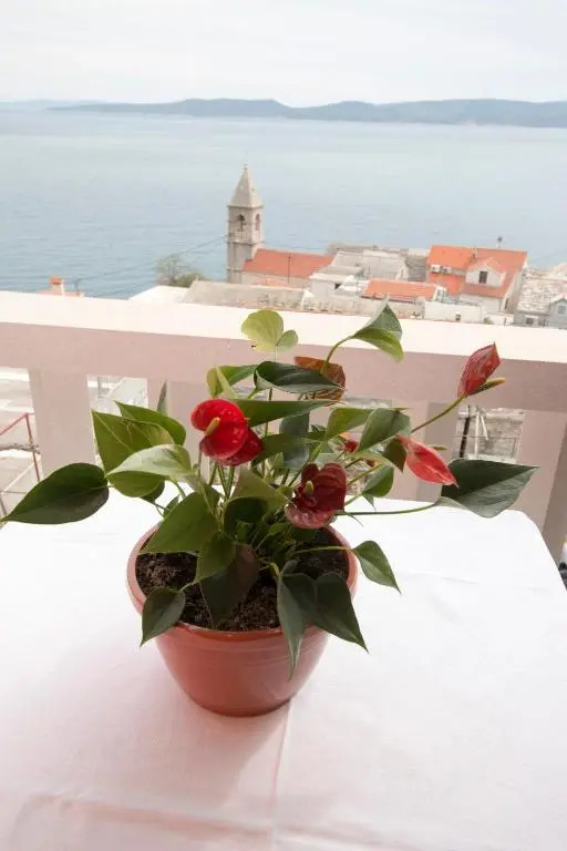 Villa Antonio