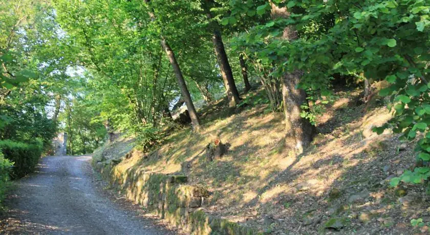 Il Glicine e La Lanterna