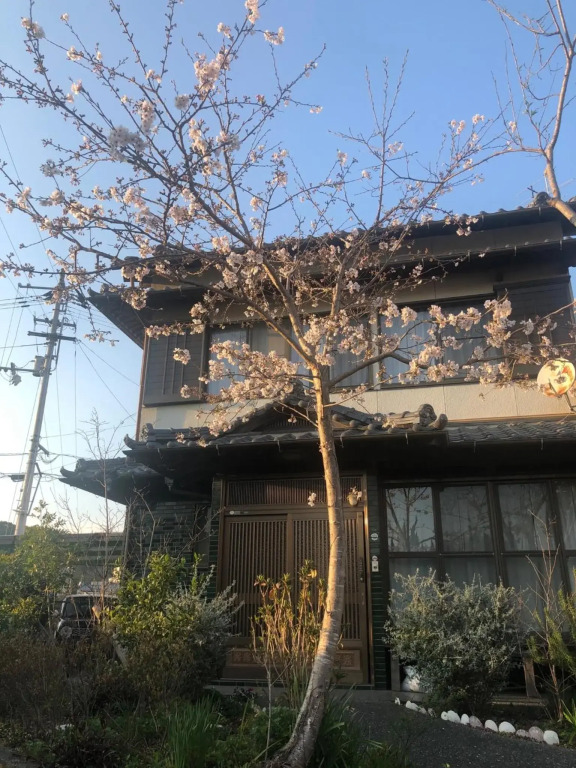 Woman Only Ohenro House33 - Vacation Stay 27239V