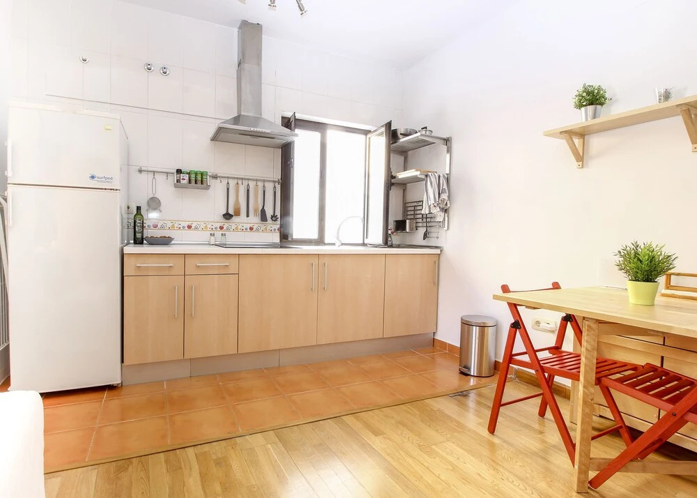 Deluxe Apartment Parras