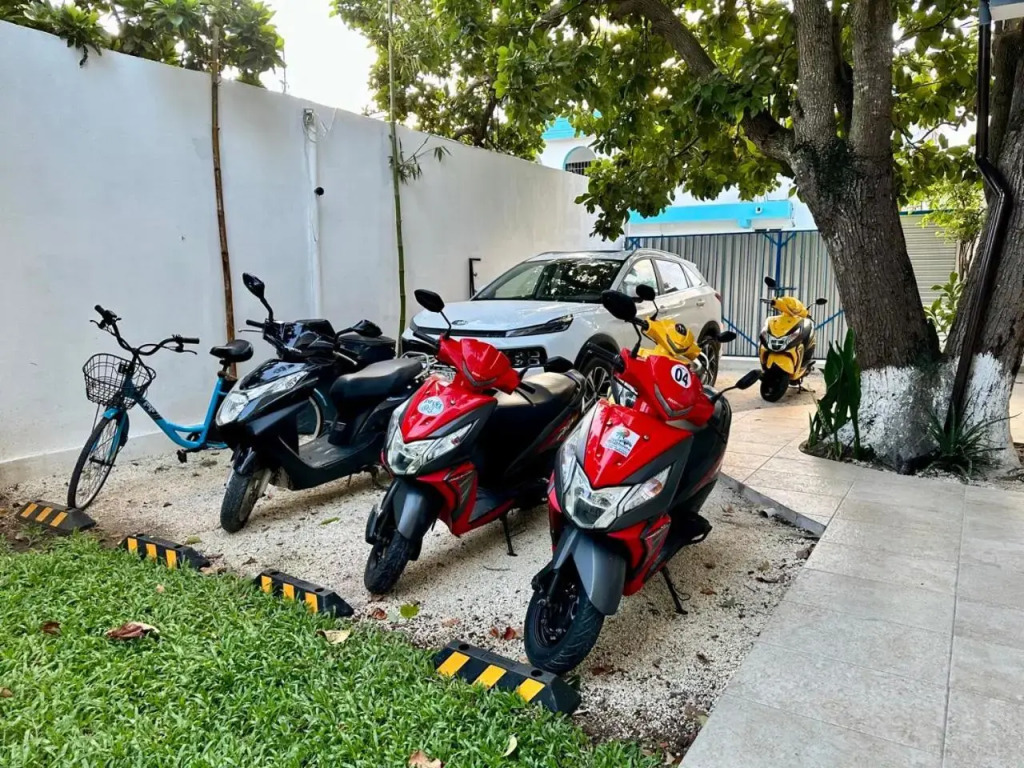 Cozumel - Av 25 Vacation Rental