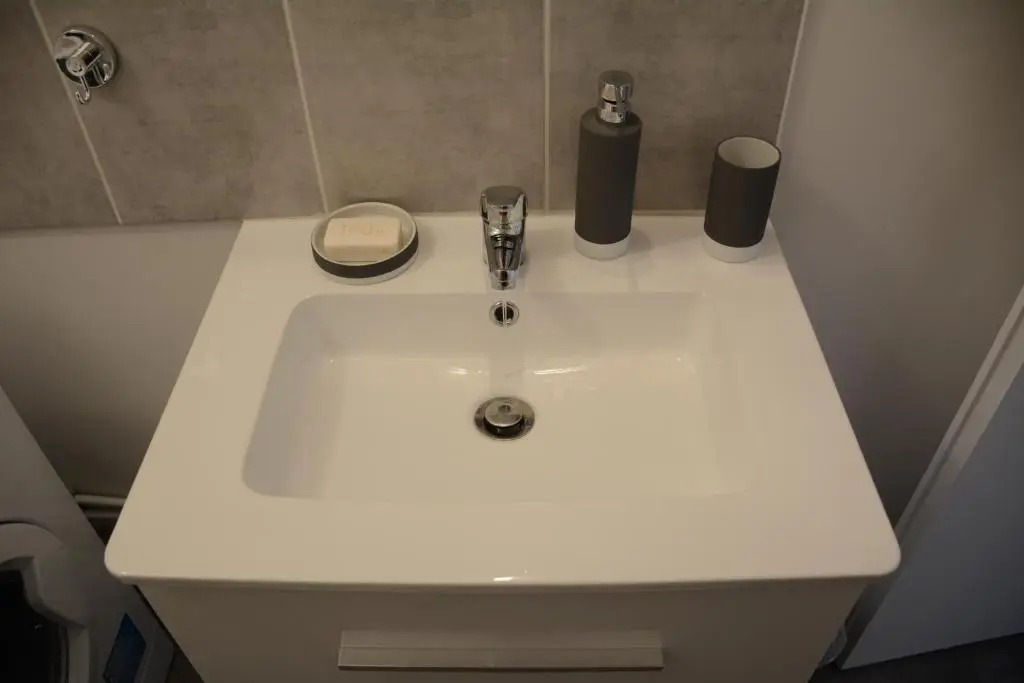 SWEETHOME DIJON - ALBERT 1er