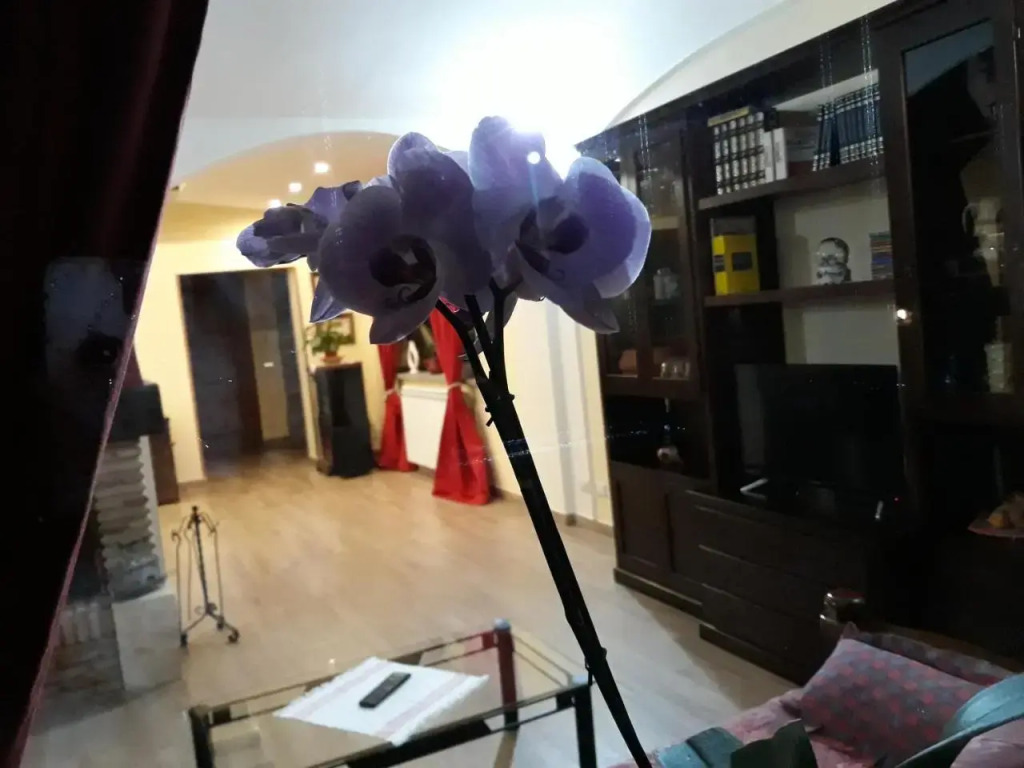 La Camelia B&B