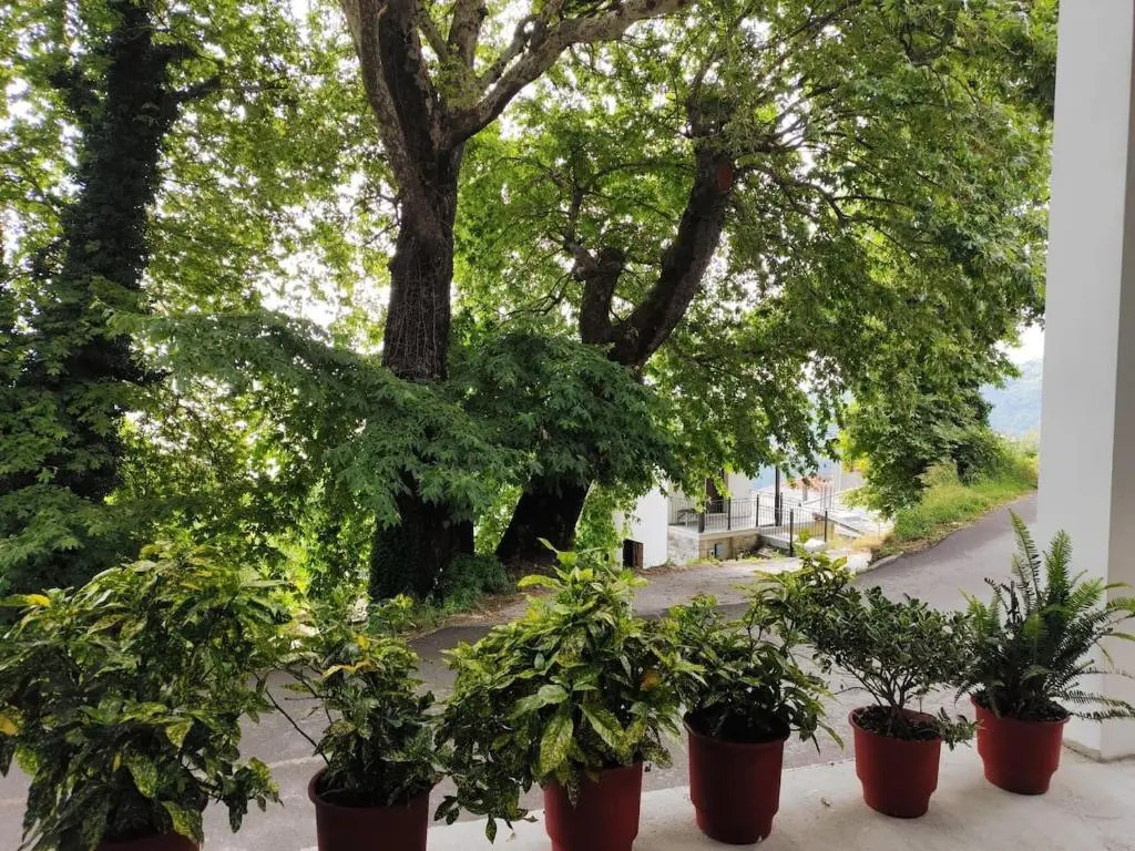 Isidora Apartments