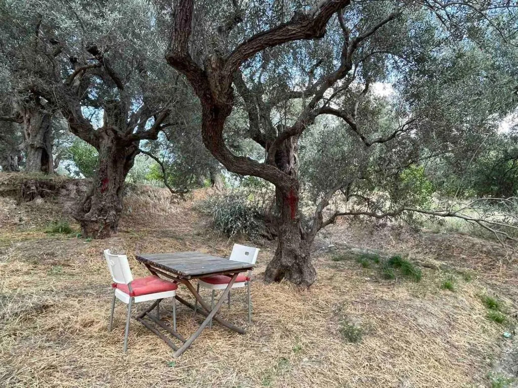 Tent by the sea, private toilet and kitchenette