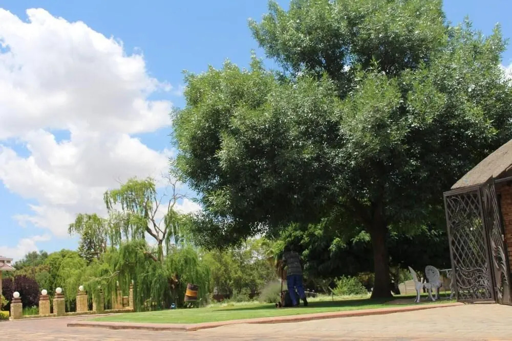 The Willow Tree Guesthouse