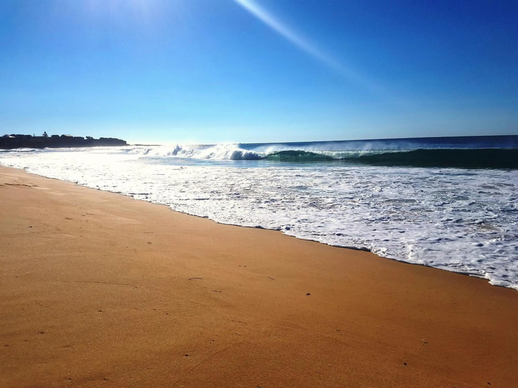 Paradise by the Beach