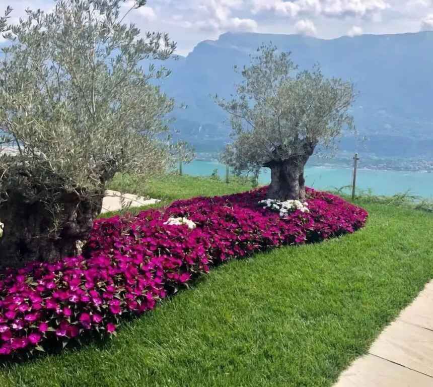 Apartaments - Villa delle Querce