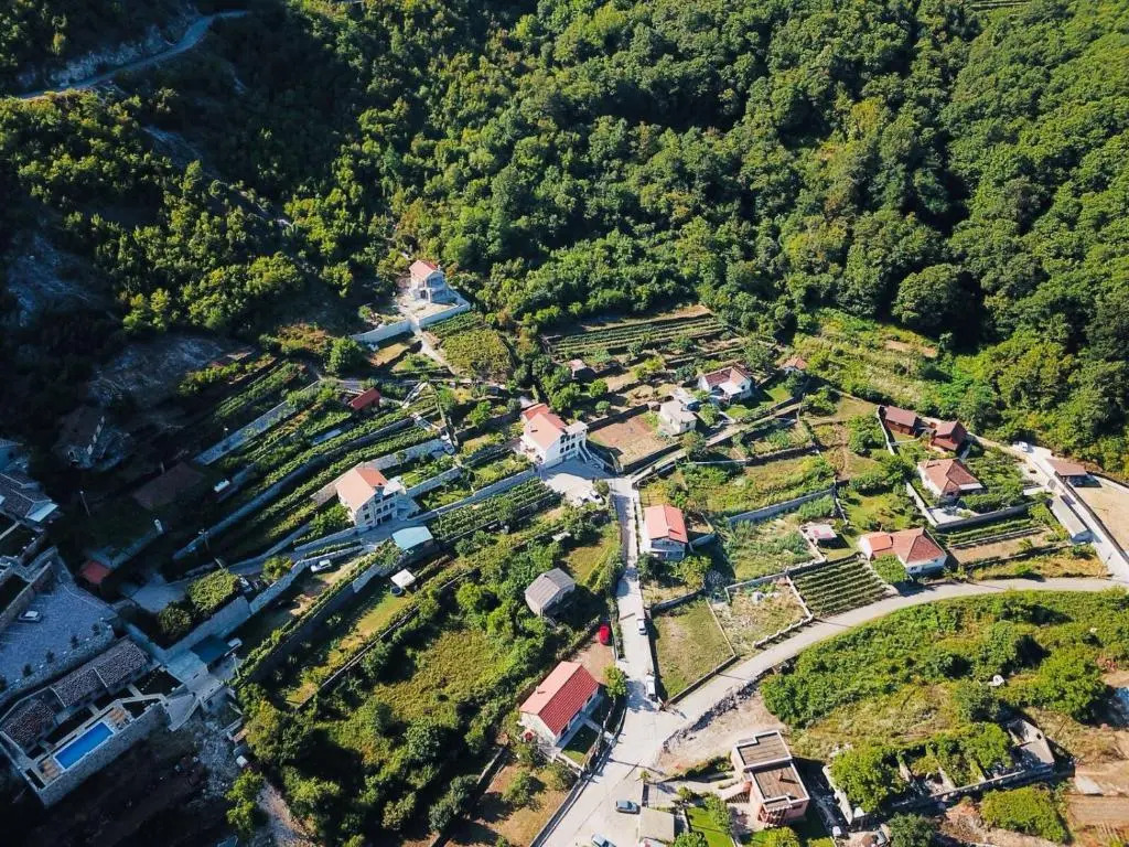 Country House Djurisic