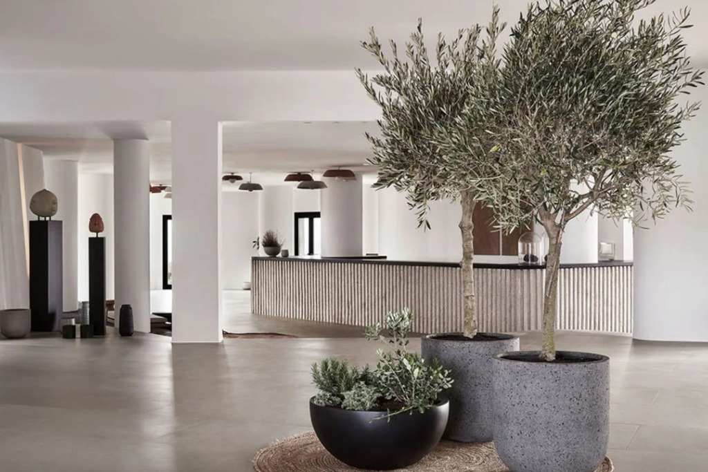 Orama Hotel & Spa