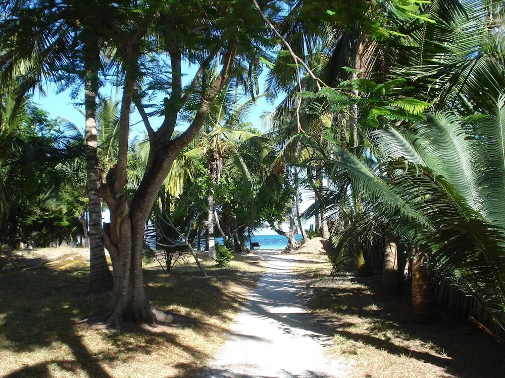 Coconut Beach Apartments