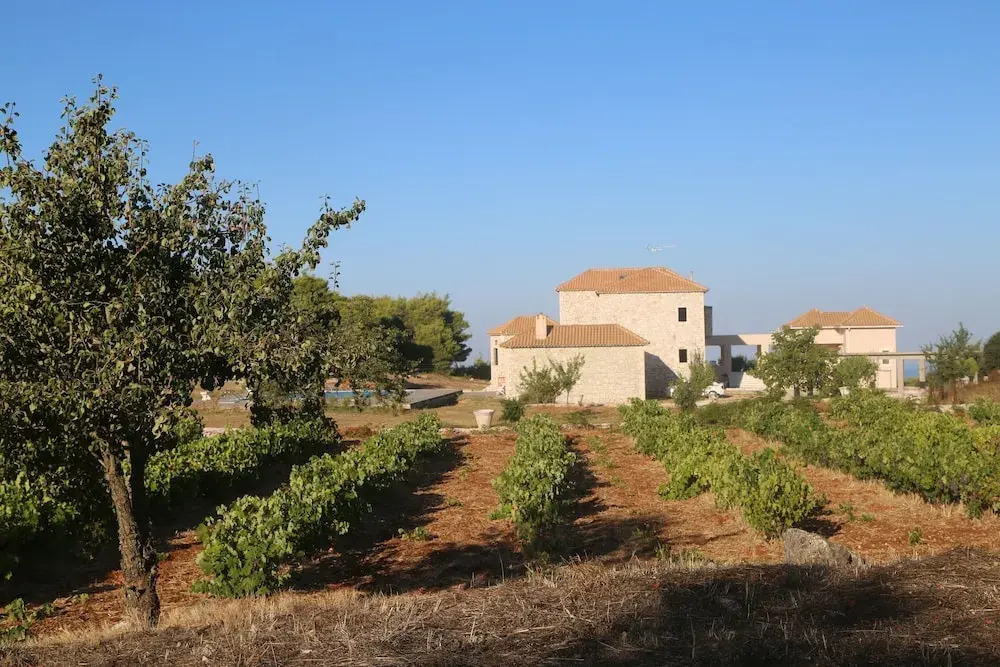 Wild Fig Retreat
