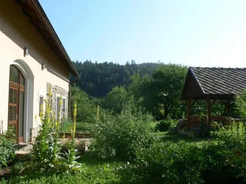 Hotel Vír