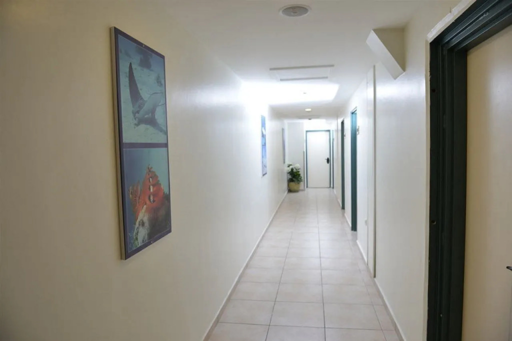 Motel Tsabar