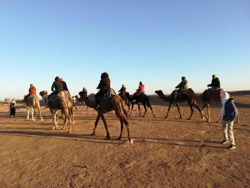 Campement Iguiditours Desert M'hamid