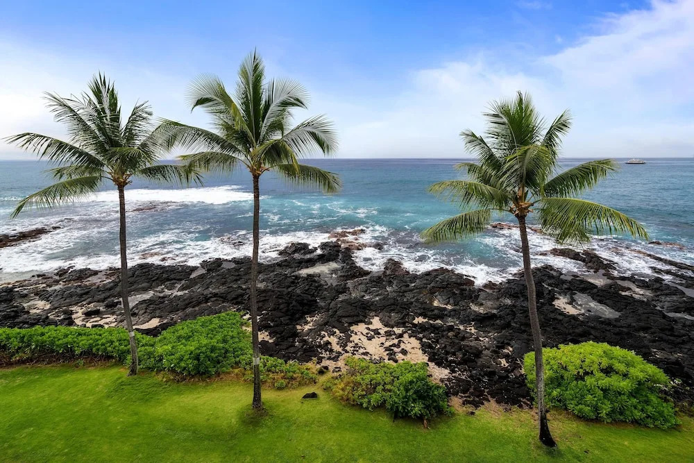 Kona Reef D32