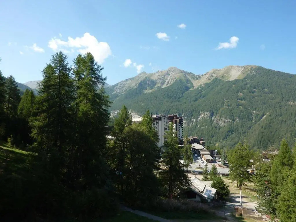 Appartement Les Orres, 2 pièces, 6 personnes - FR-1-322-189