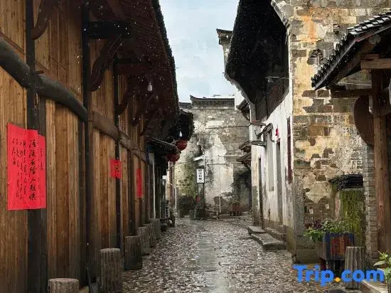 Jingxi Shuizhen Mengxiangcun Homestay