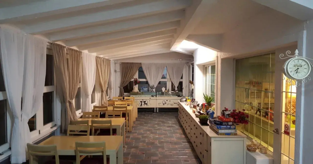 Cozy House