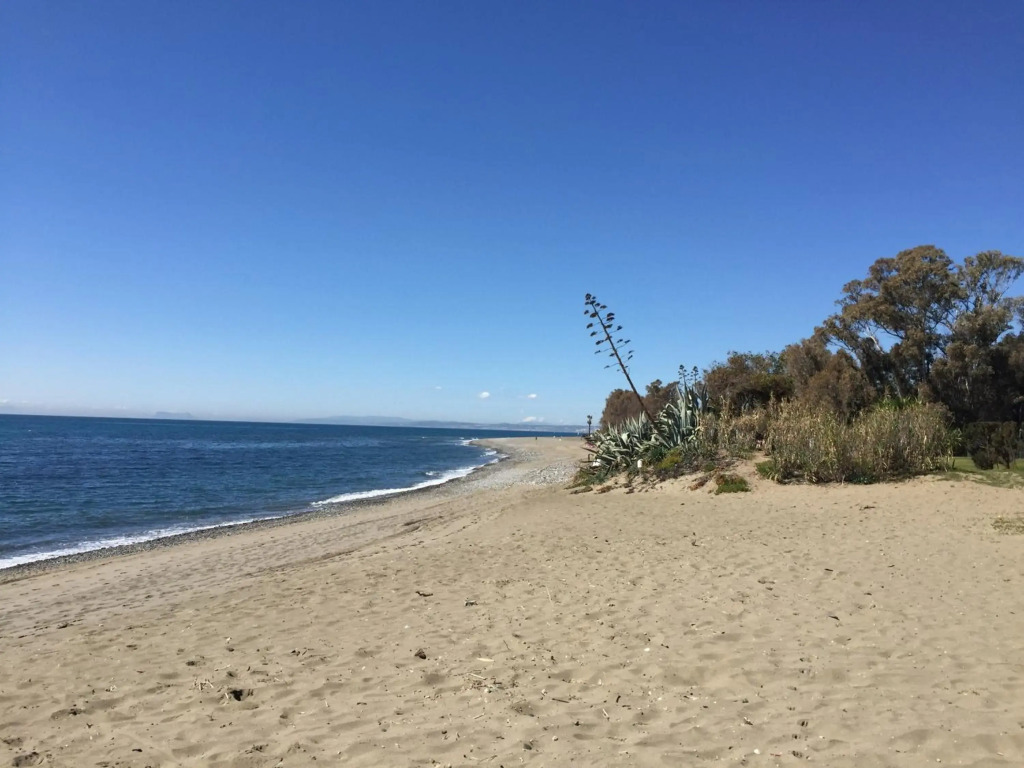 Beachside