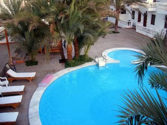 Octopus Hotel