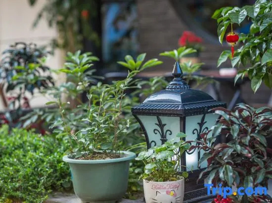 Wuyishan Yehan Homestay (South Entrance of Scenic Area)