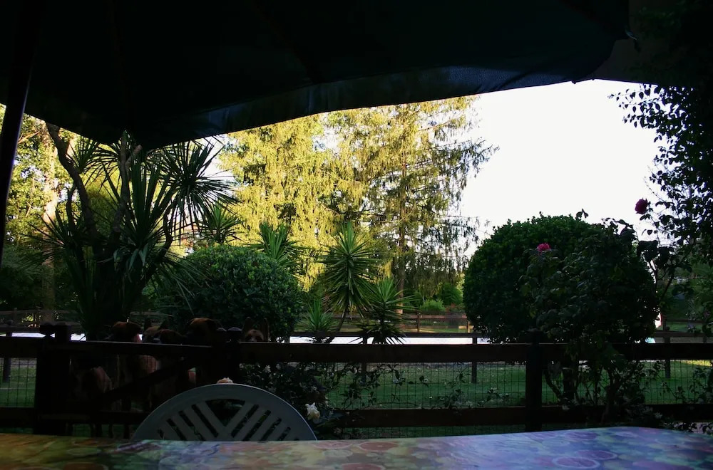 Green Oasis B&B