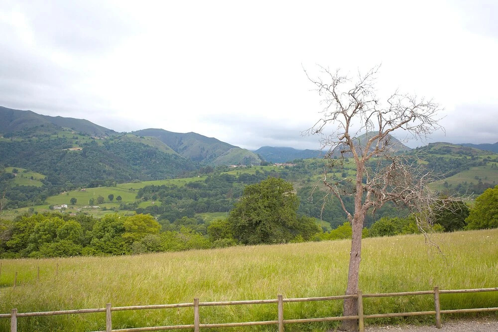 Casa Rural La Torea