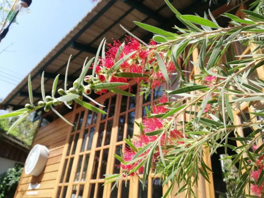 Paiyannoi Guesthome