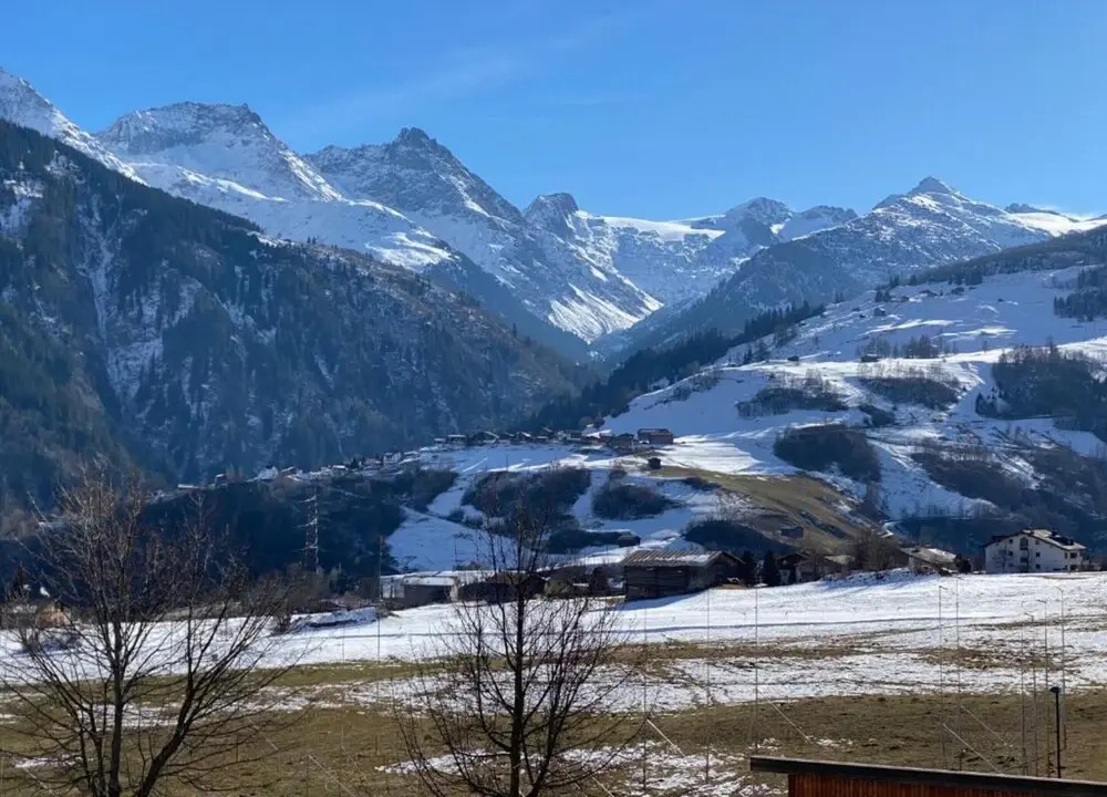 Segnas Mountain Apartment