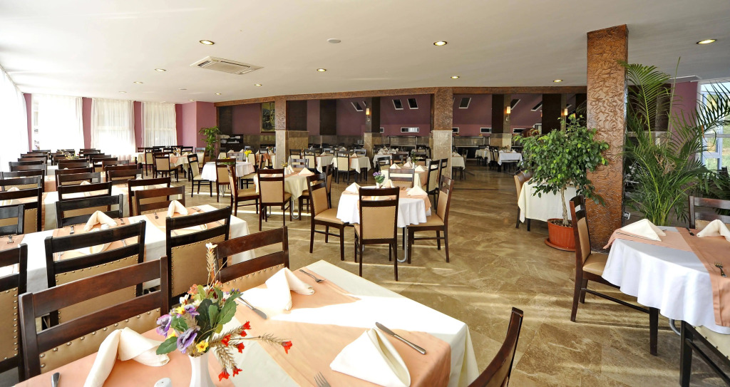 Lioness Hotel
