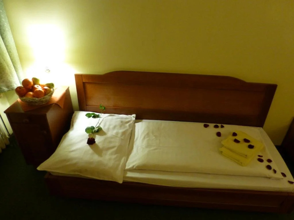 Hotel Korunni Princ