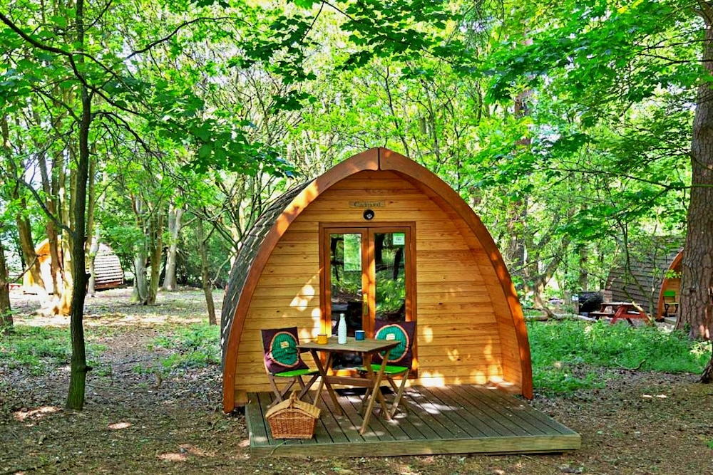 Glamping Pod in Bury St Edmunds Woodland