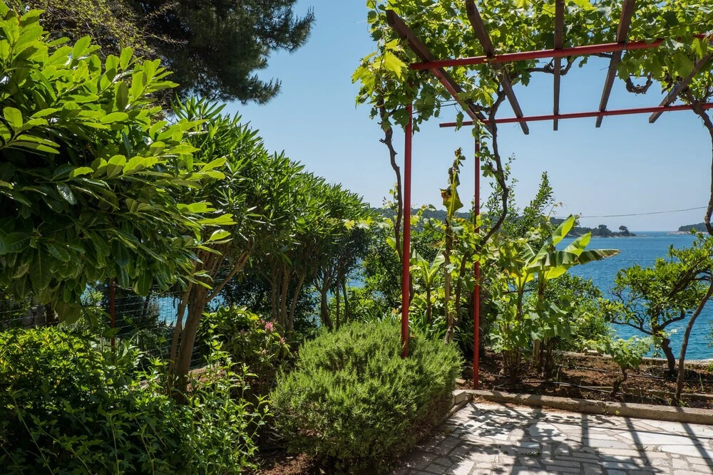 Villa Magnolia