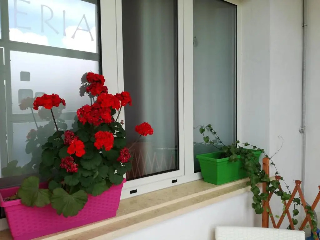 ARZERIA