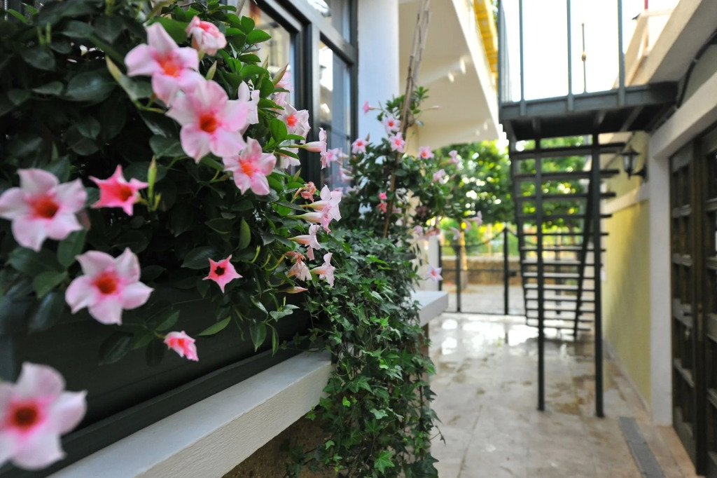Petrino Gökçeada Hotel&Kitchen