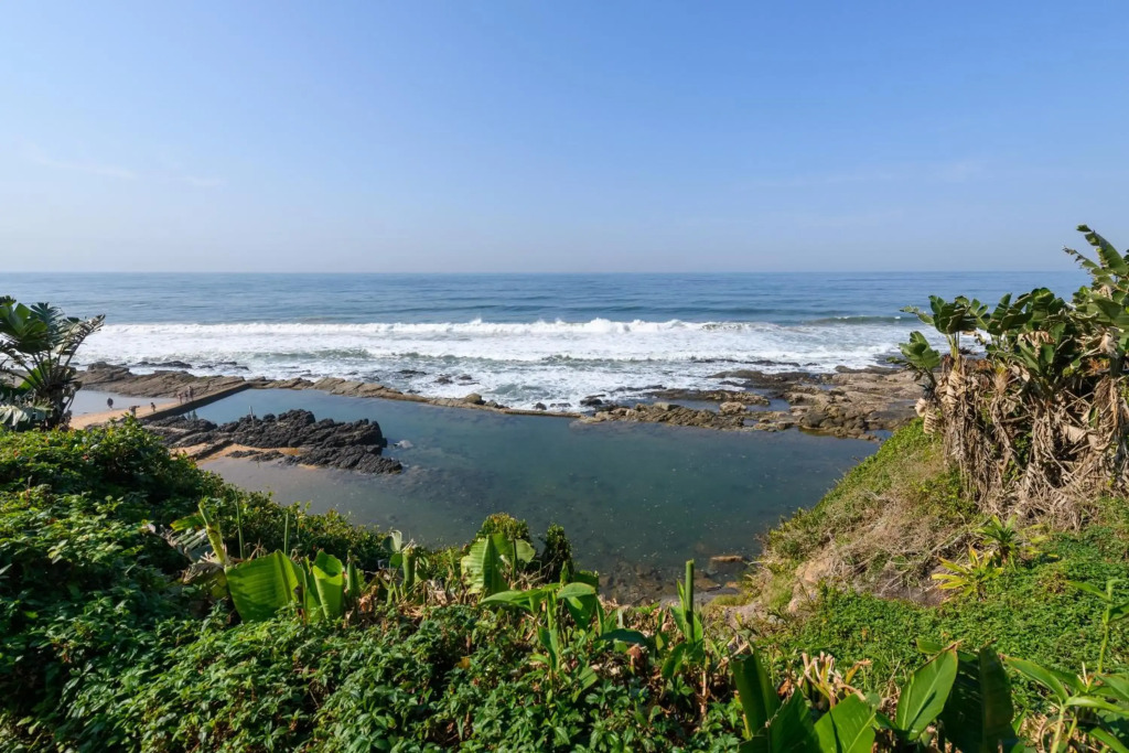 Pelicans Pad at Chakas Cove