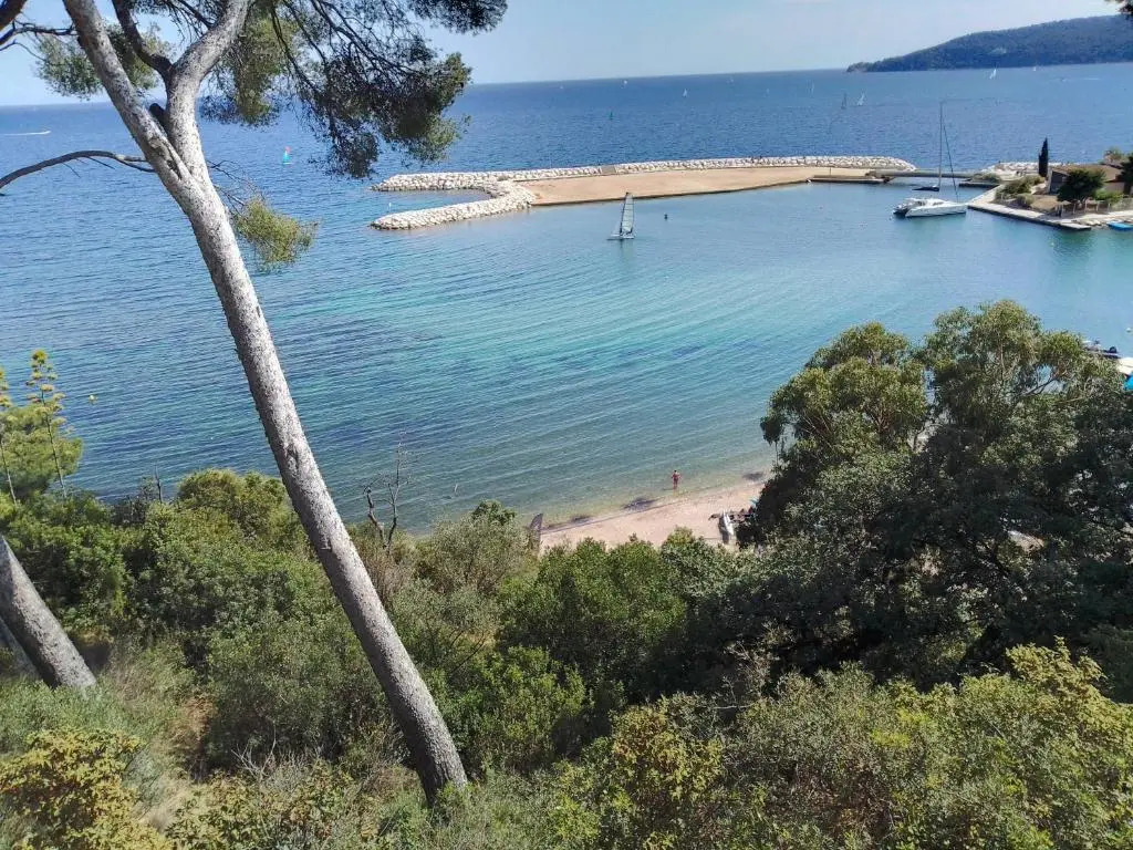 Typical Toulon apartment 50M beaches
