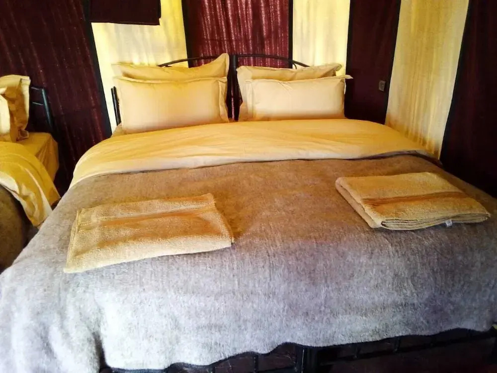 Camel Trekking Camp & Activities