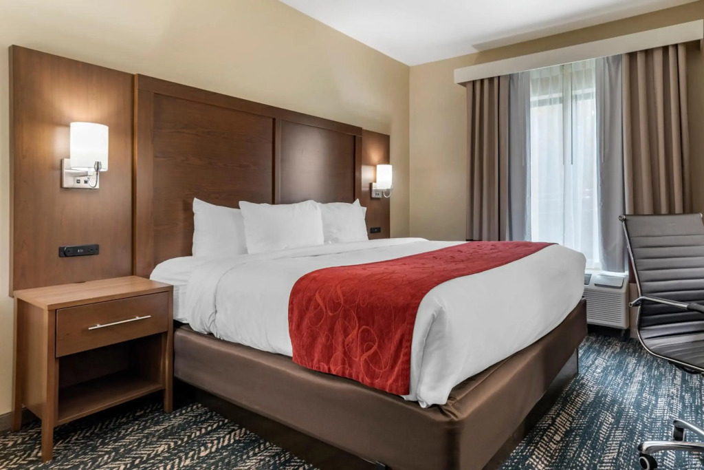 Comfort Inn & Suites Downtown near University