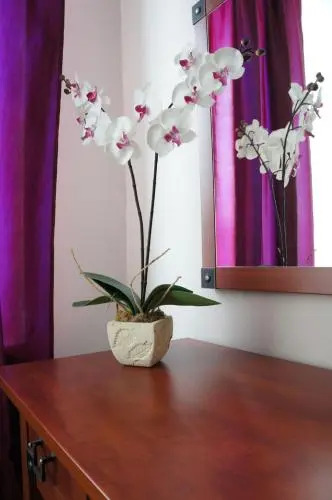 Willa Akacja Bed & Breakfast - Gdynia Orłowo