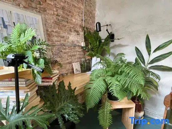 Xi 'an Bottle flower Coffee Hostel