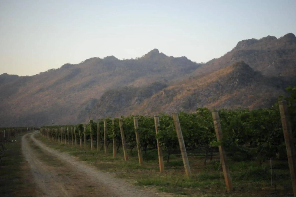 GRANMONTE Wine Cottage