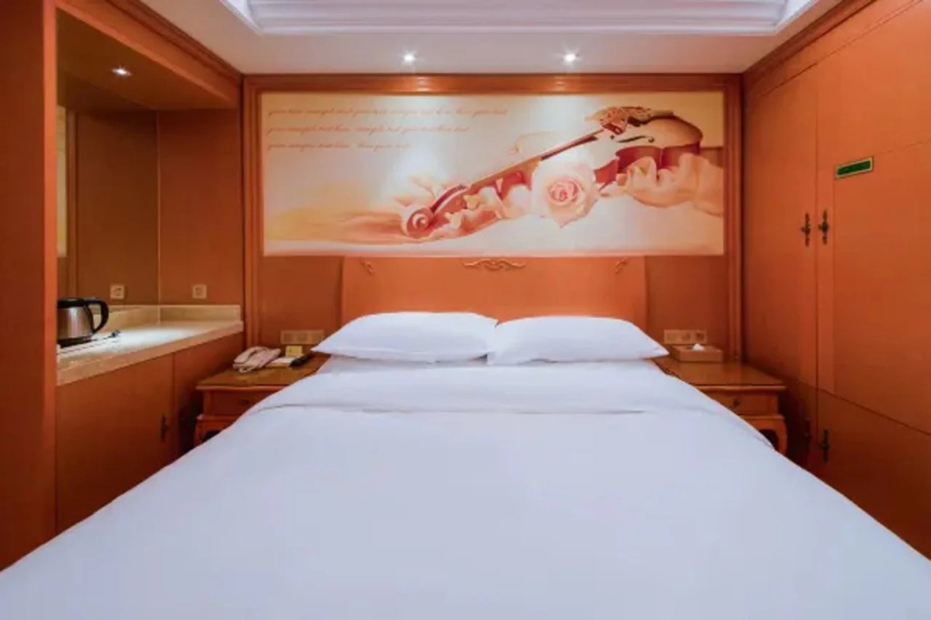 Vienna Hotel Shanghai Gucun Park