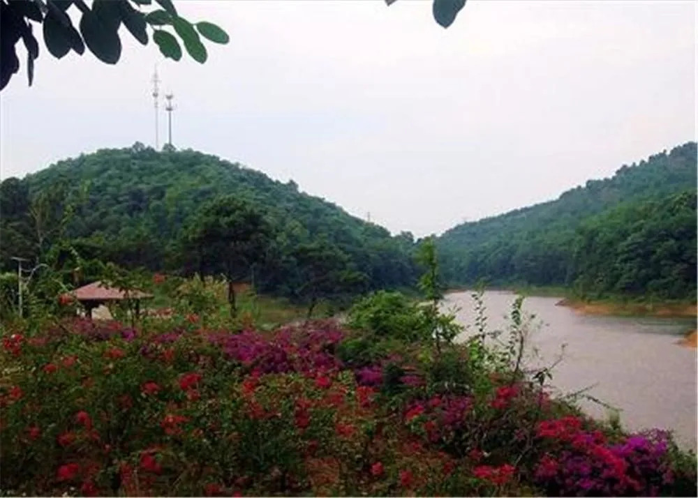 Phoenix Hotel Wuyi