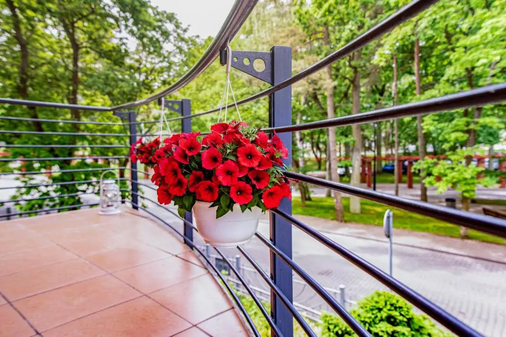 Apartamenty Kornel