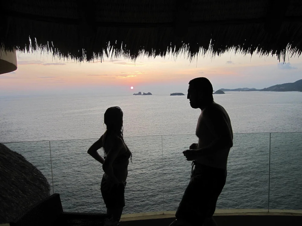 Palmetto Ixtapa 313
