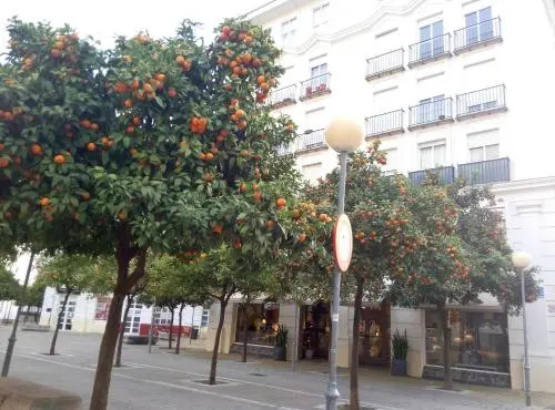 Apartamento Plaza del Caballo