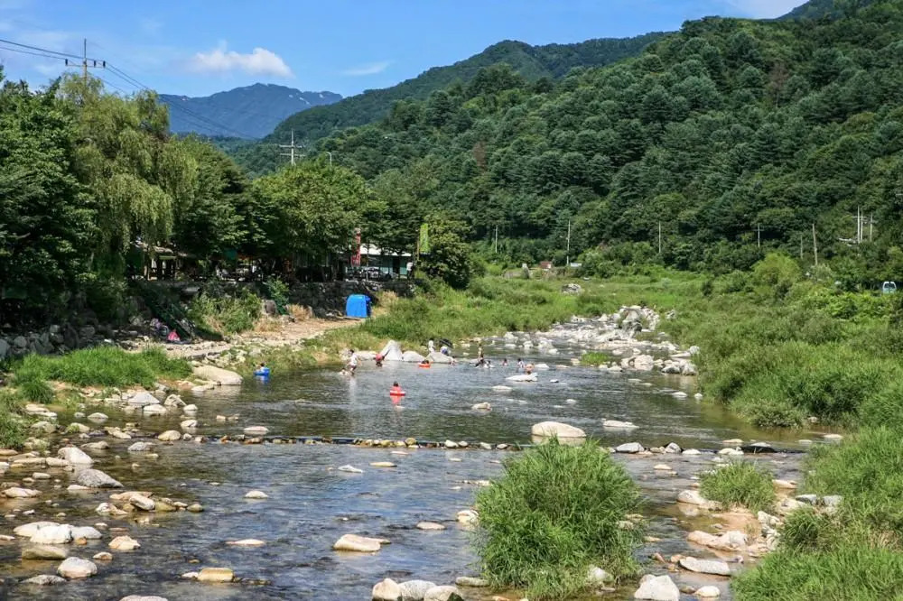 Arum Pension