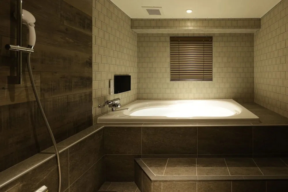 hotel papion - Adult only